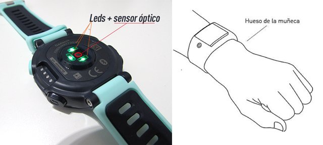 Pulsómetros ¿Sensor de muñeca o banda pectoral?