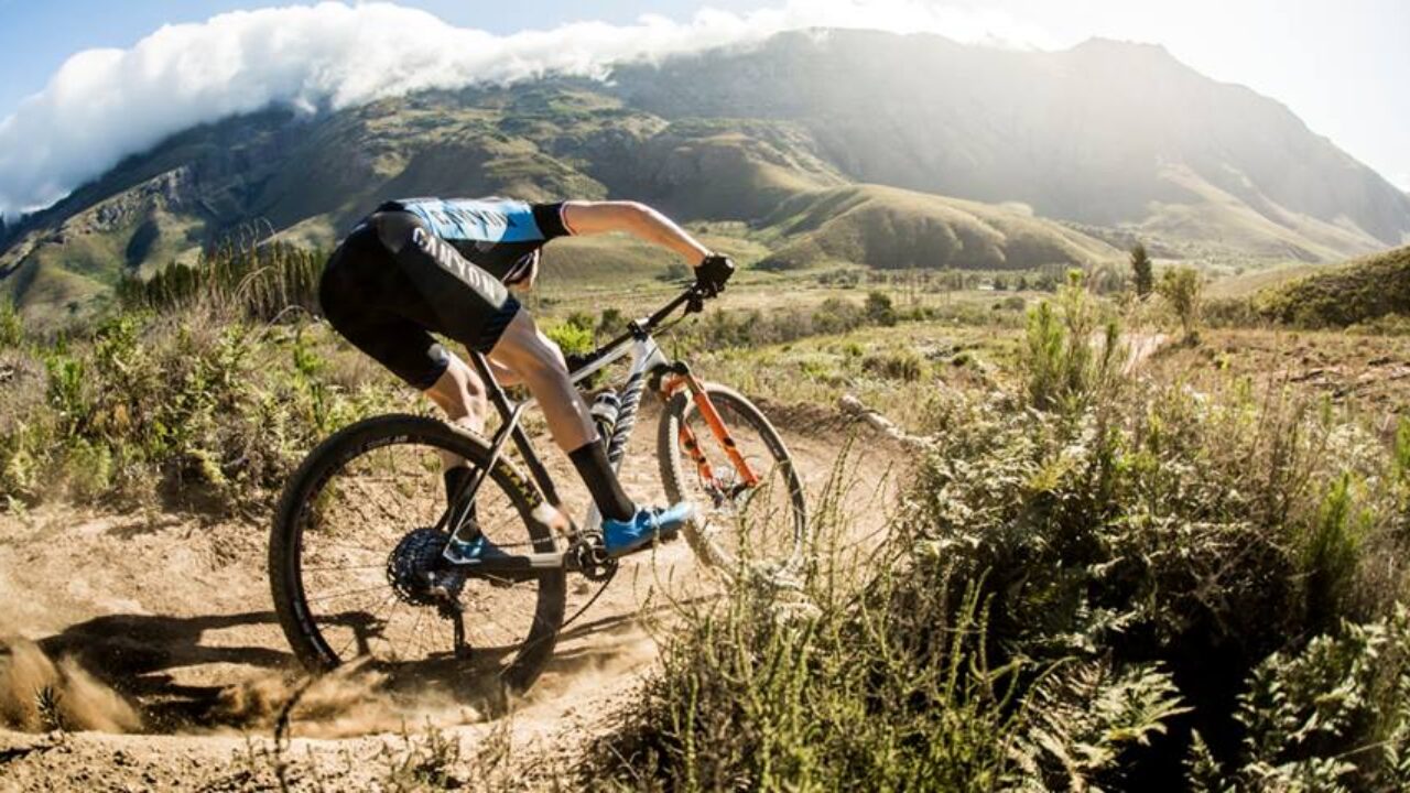 Las mejores ofertas en Horquilla Rigida de aluminio para Mountain Bike
