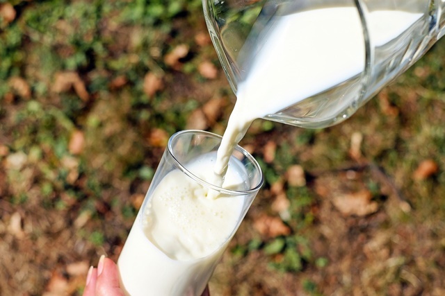 intolerancia leche lactosa caseina