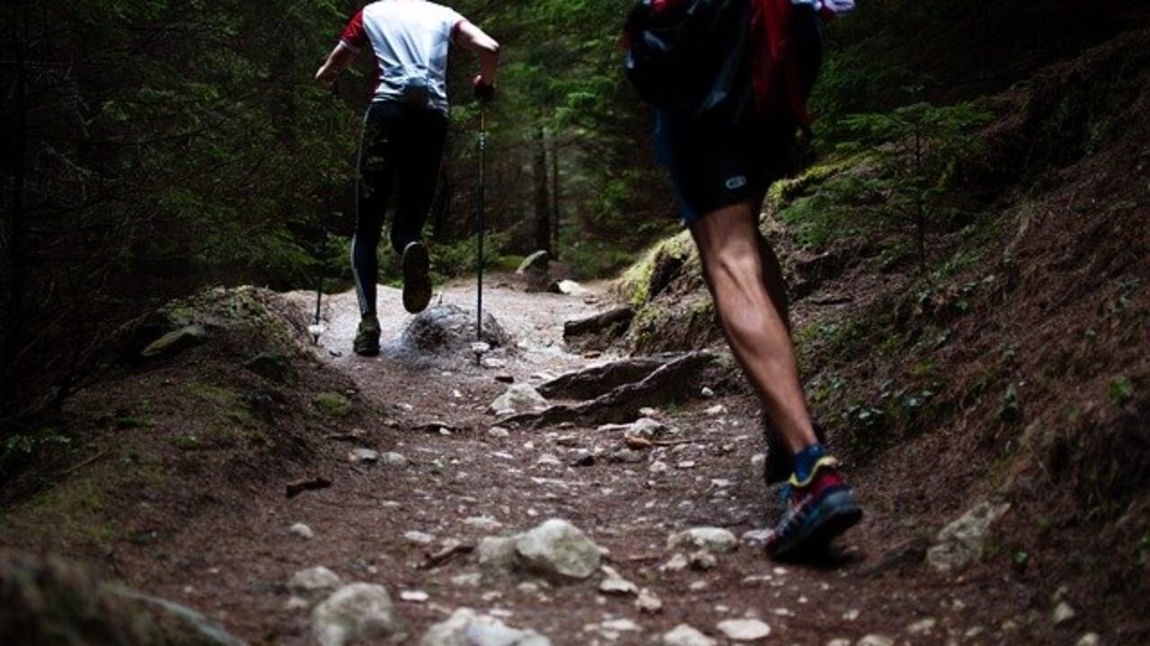Jane Austen Beg Of storm Mejores zapatillas de iniciación al Trail: caminar y correr por montaña